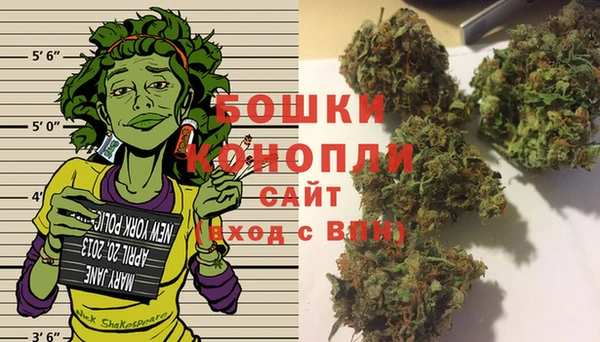 трава Бронницы